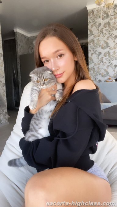 Picture of Escort girl Zioania